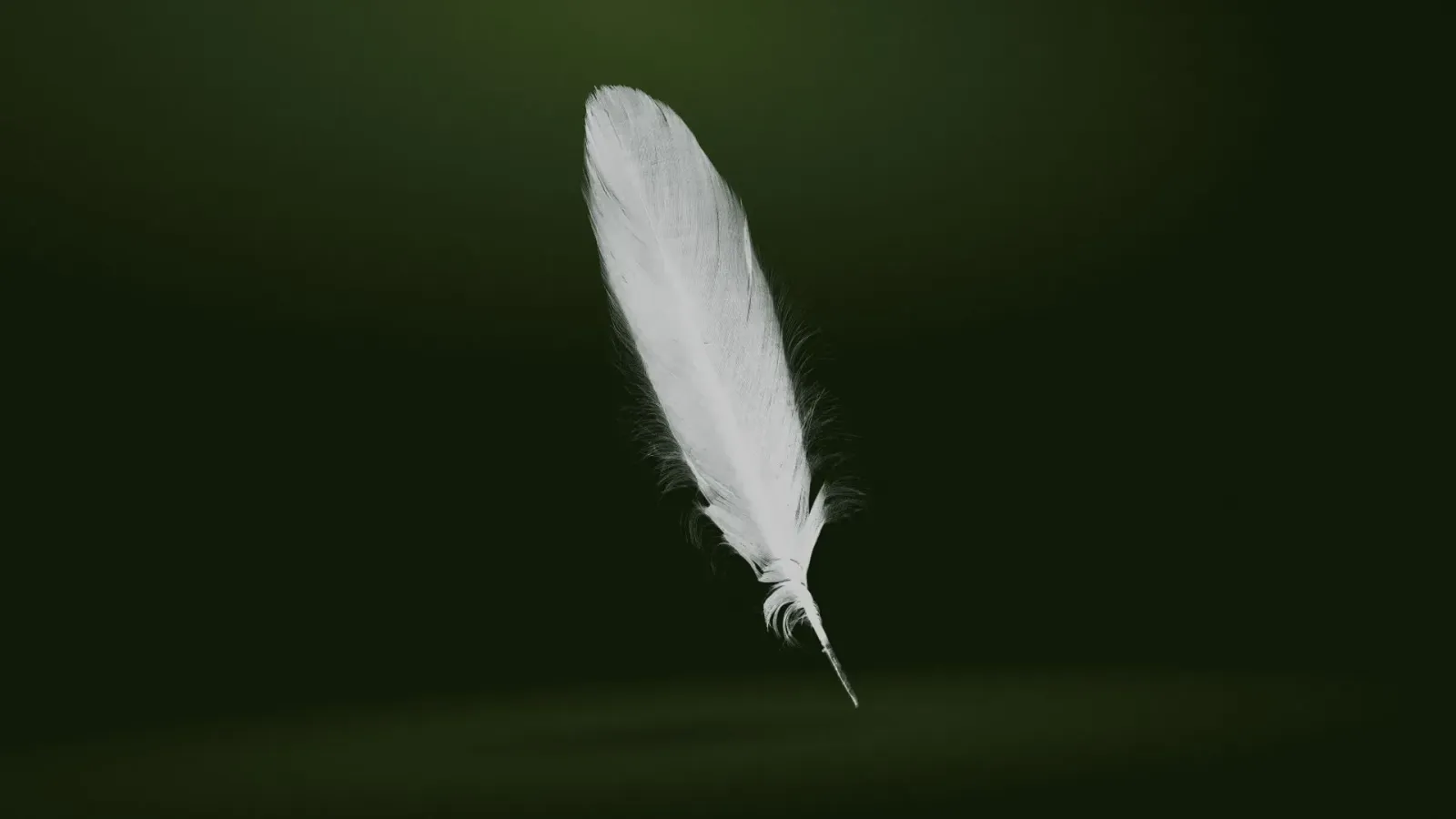 Feather
