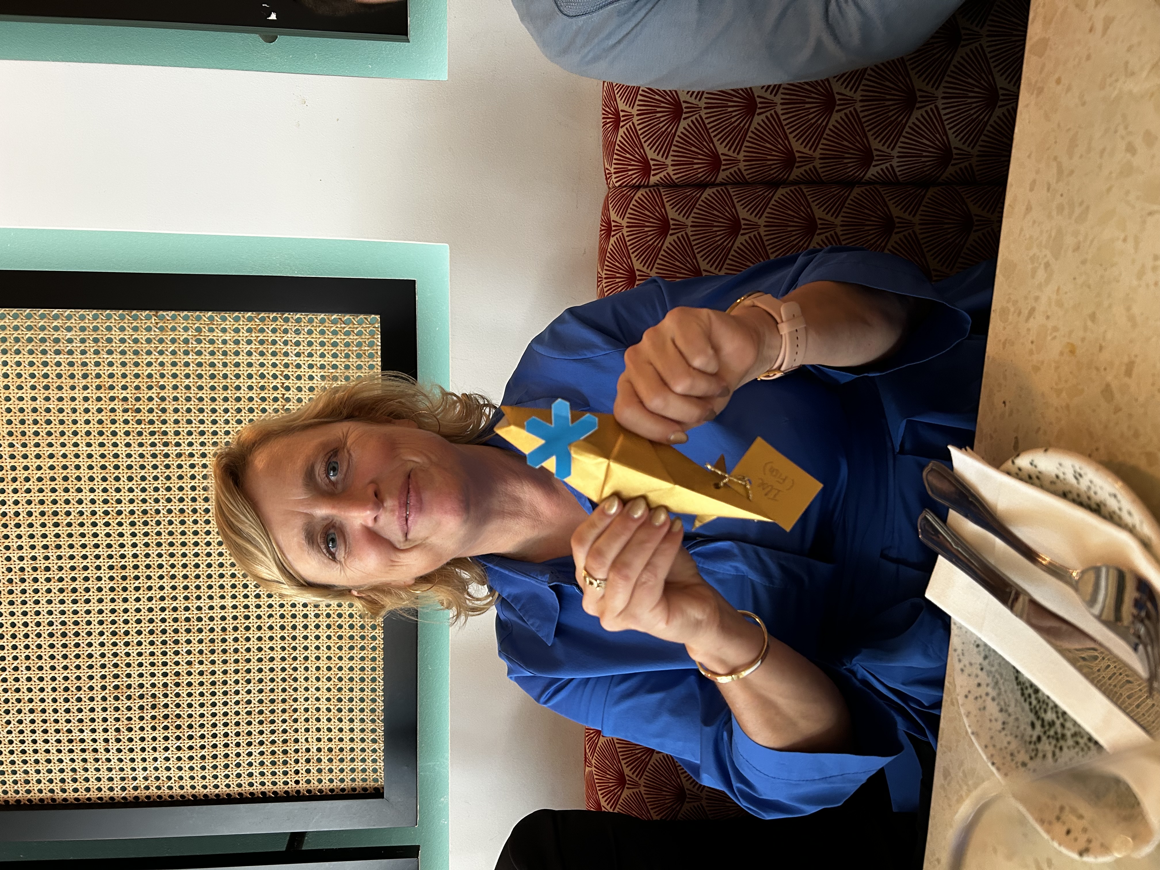 Ilse origami Snow Software Luxembourg Bazaar